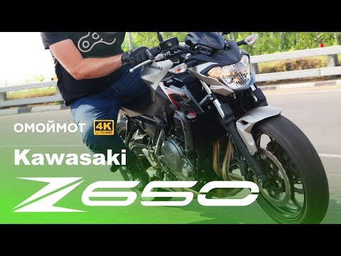 Kawasaki Z650: Повелитель мух 