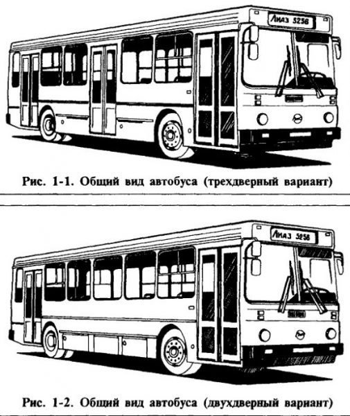 ЛиАЗ-5256 в двух- и трехдверном варианте