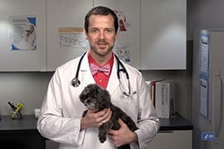 photo of a veterinarian with a dog